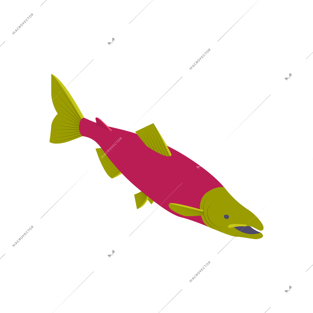 Commercial fishing isometric composition with isolated image of fish vector illustration