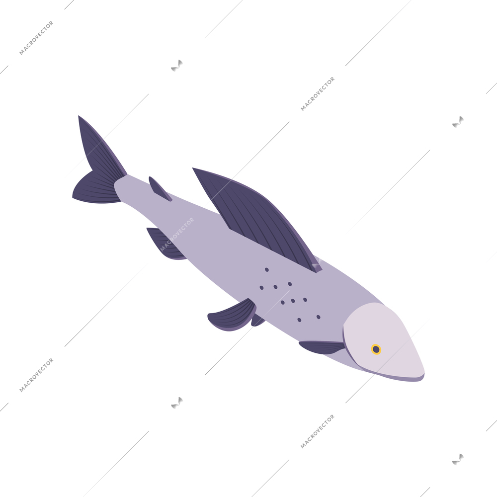 Commercial fishing isometric composition with isolated image of fish vector illustration