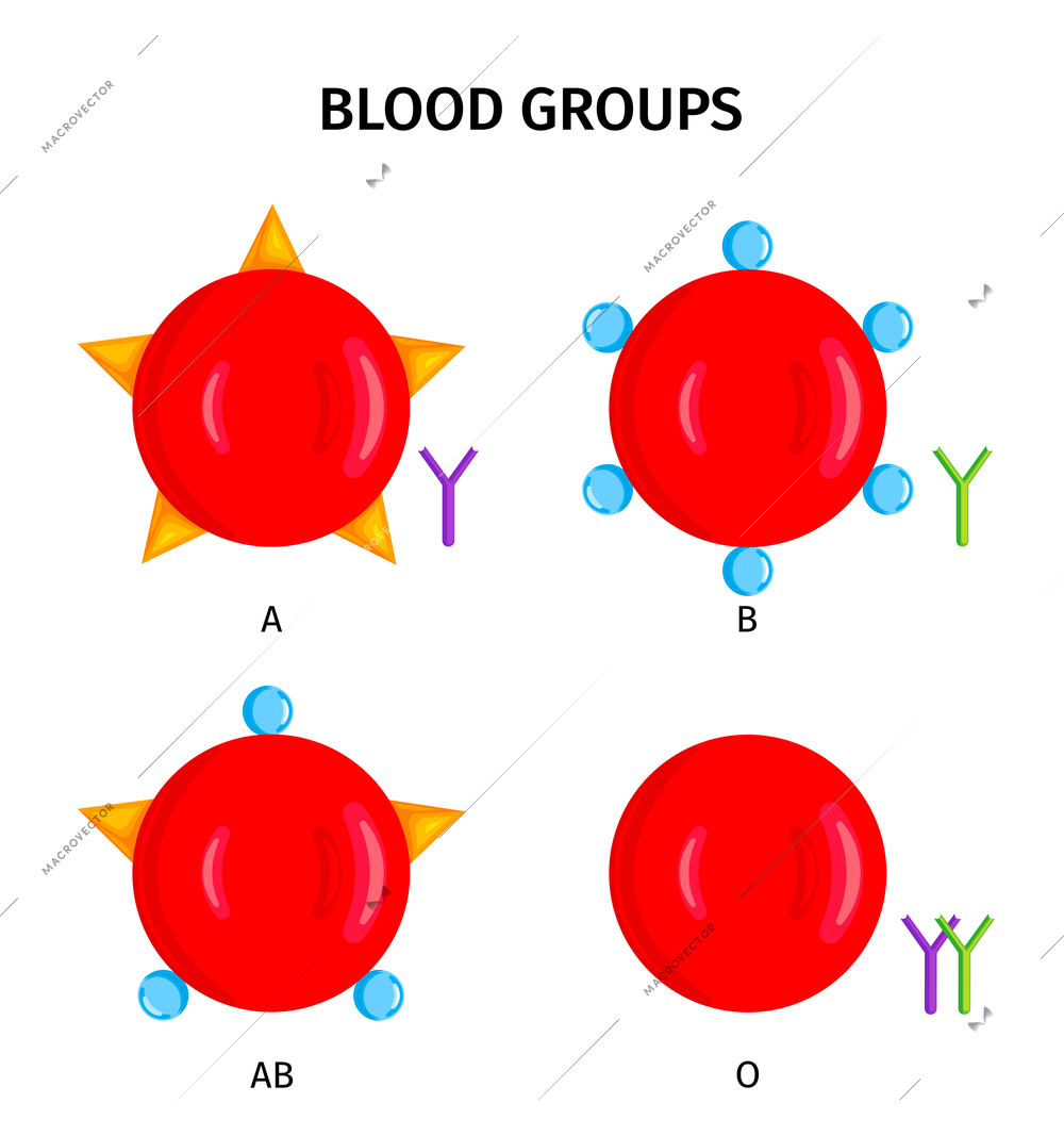 Human blood types groups symbols a b ab 0 4 red round colorful icons set vector illustration