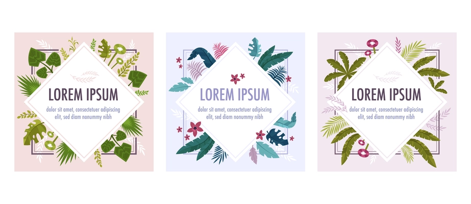 Frame plants set of three compositions with flat images of exotic leaves flowers and editable text vector illustration