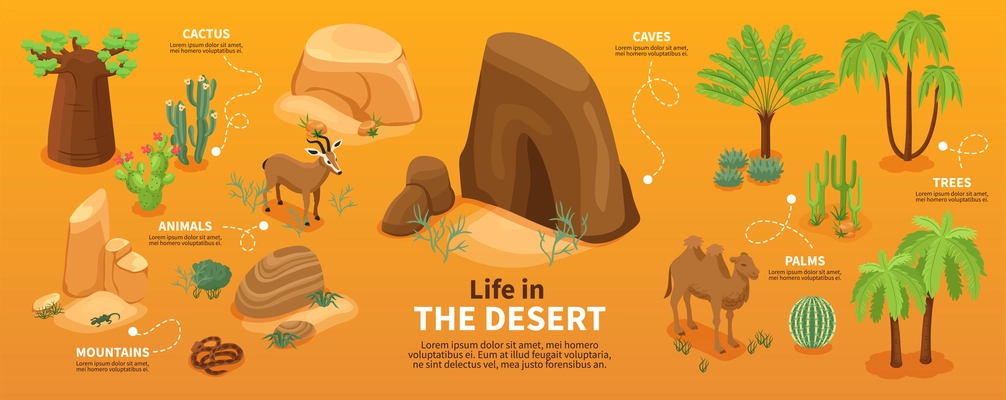 Life in desert isometric infographics with green trees and plants mountains and wild animals vector illustration