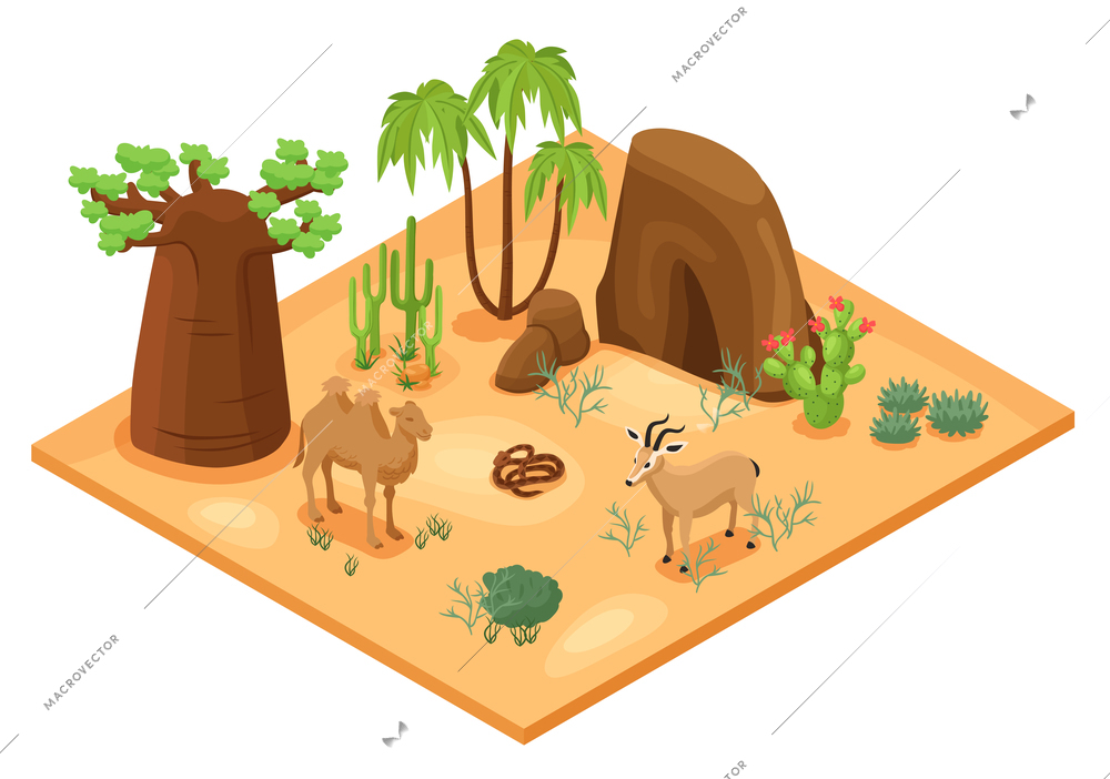 Desert landscape with cacti palms rocks camel snake and gazelle isometric vector illustration