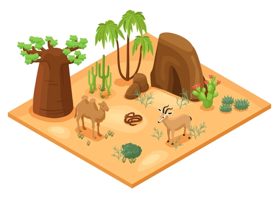 Desert landscape with cacti palms rocks camel snake and gazelle isometric vector illustration