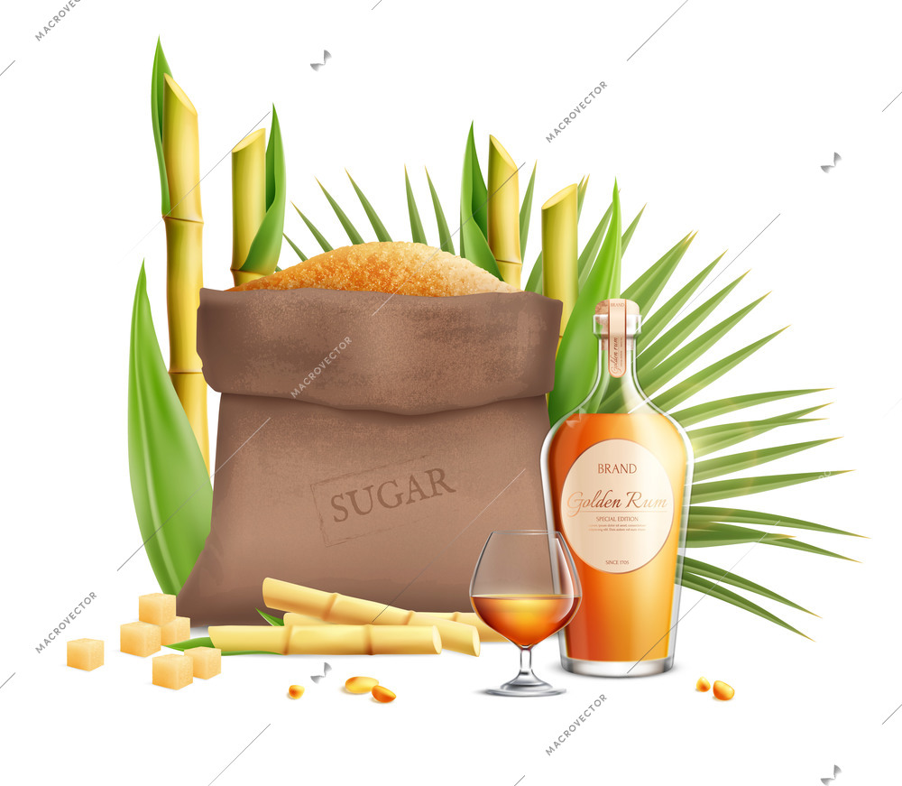 Cane sugar realistic composition with products made from this type of sugar vector illustration