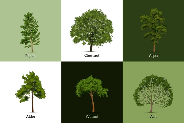 Realistic tree design concept with editable text captions and images of live trees with green leaves vector illustration