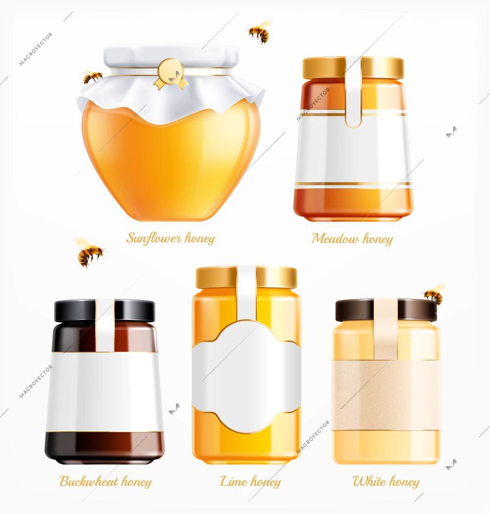 Honey jars types realistic set of isolated glass cans with ornate text captions and flying bees vector illustration