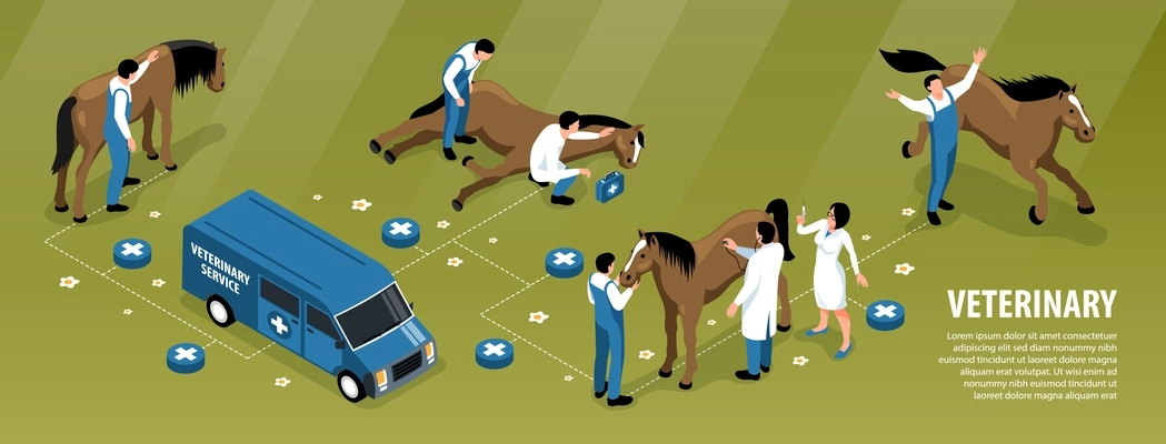 Farm animals veterinary isometric infographic flowchart with vet team treating sick horse on ranch background vector illustration