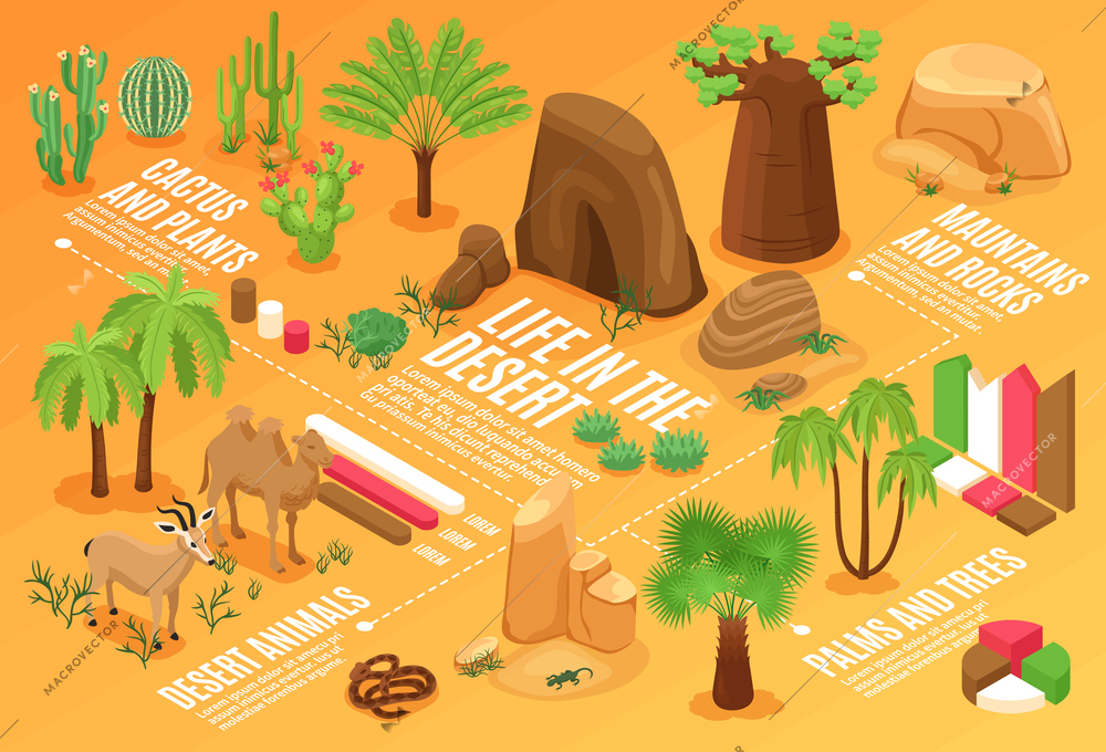 Horizontal flowchart with 3d desert landscape elements wild animals and colorful diagram isometric vector illustration