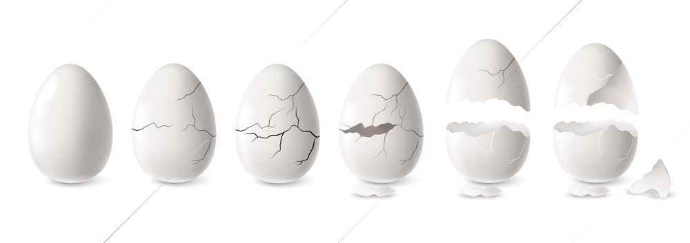 Realistic white cracked and open egg set isolated vector illustration