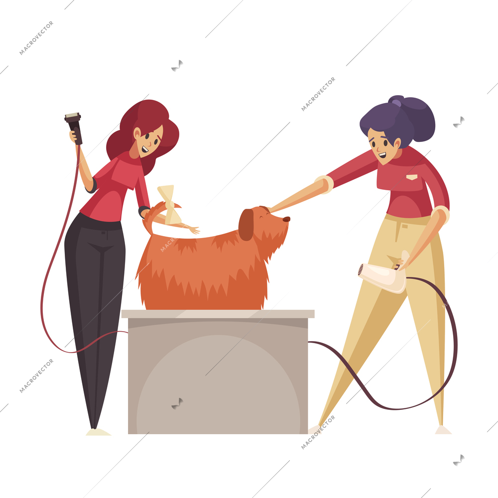 Flat grooming icon with women drying dog with long fur vector illustration