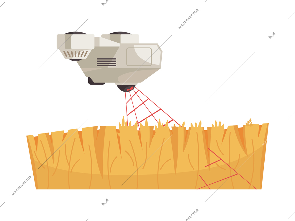 Smart farm flat icon with drone flying above field of ripe golden wheat vector illustration