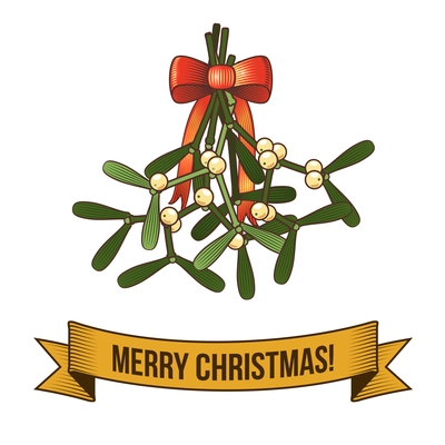 Merry christmas new year holiday holly branch icon with ribbon vector illustration