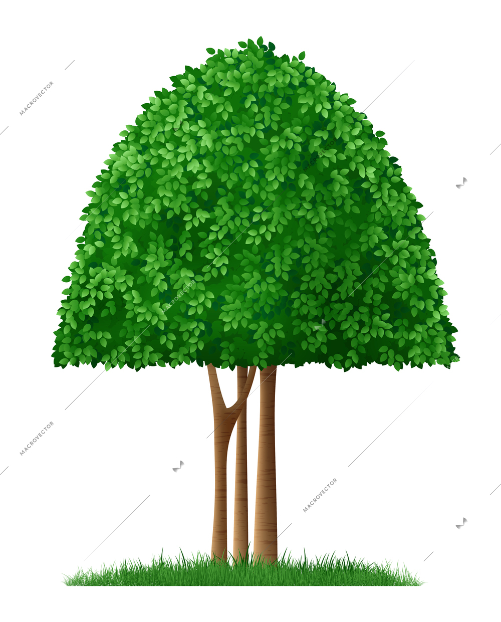 Green shaped decorative garden tree on white background realistic vector illustration