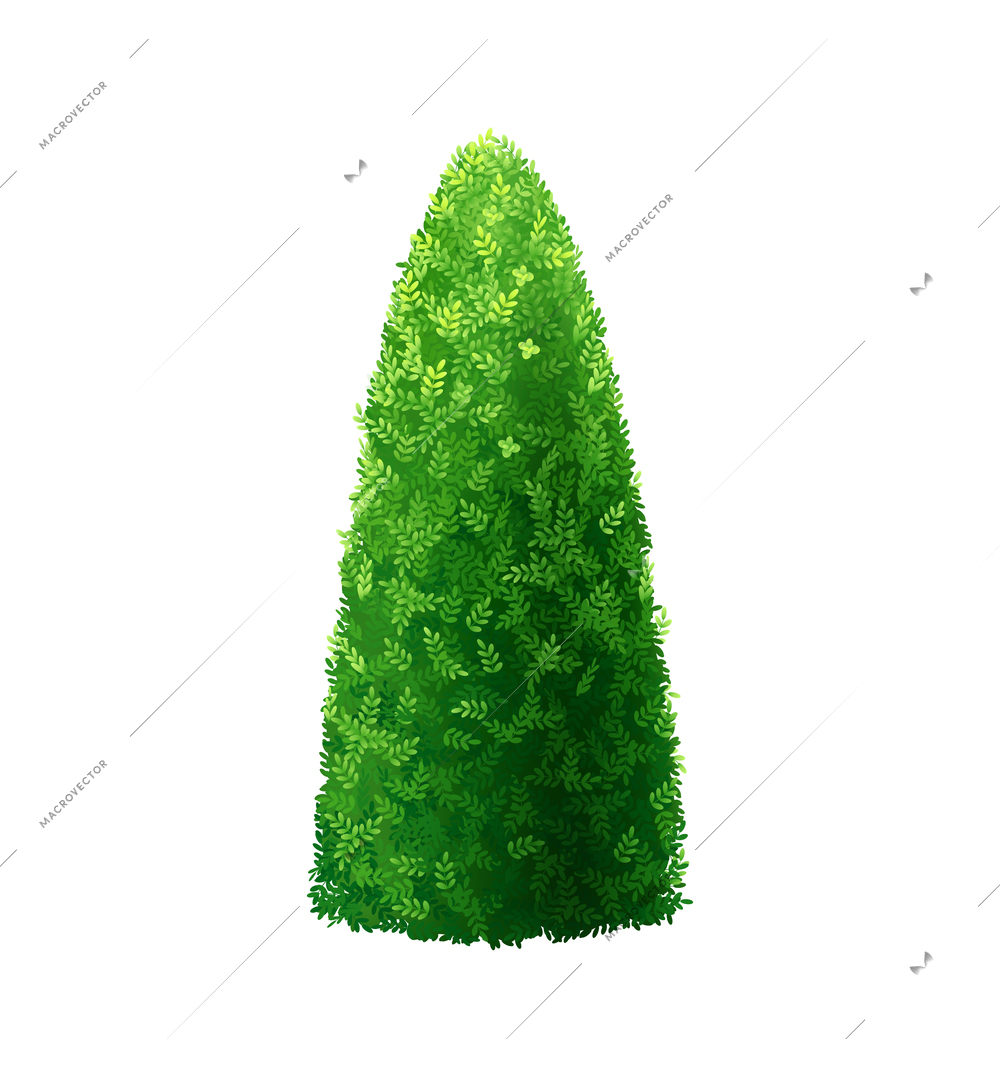 Shaped garden bush with green leaves on white background realistic vector illustration