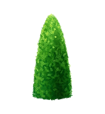 Shaped garden bush with green leaves on white background realistic vector illustration