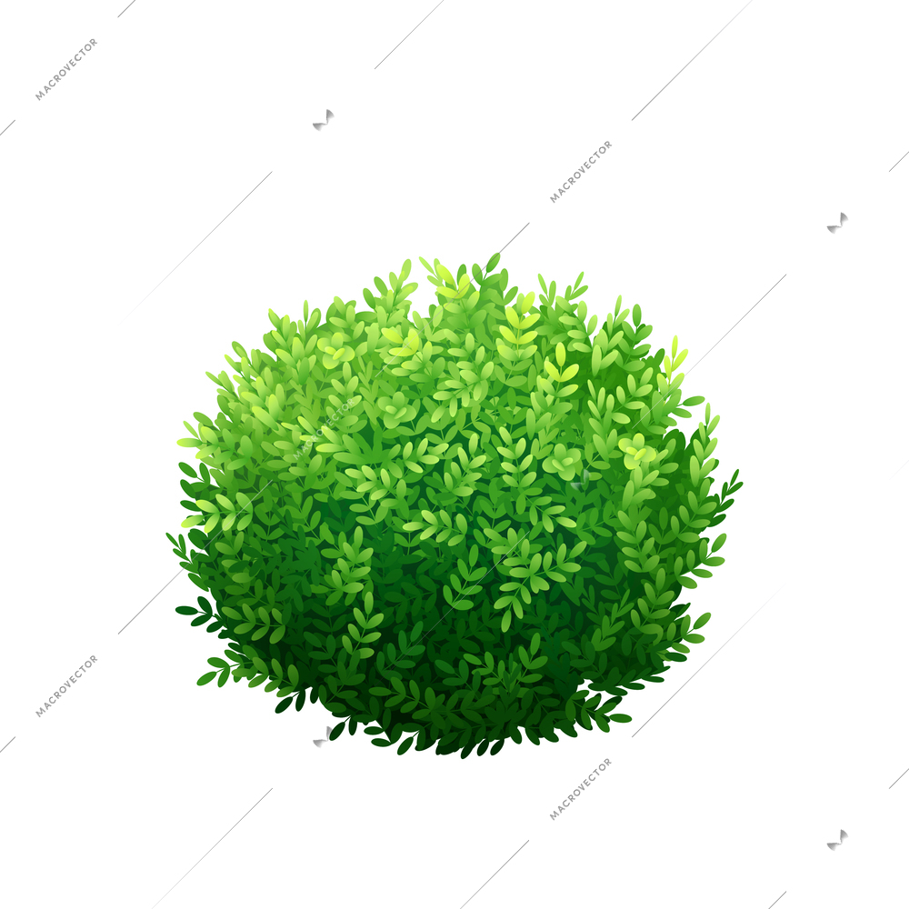 Realistic icon of round green bush vector illustration