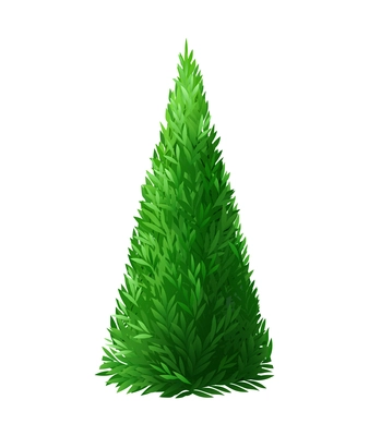 Green bush in shape of cone realistic icon on white background vector illustration