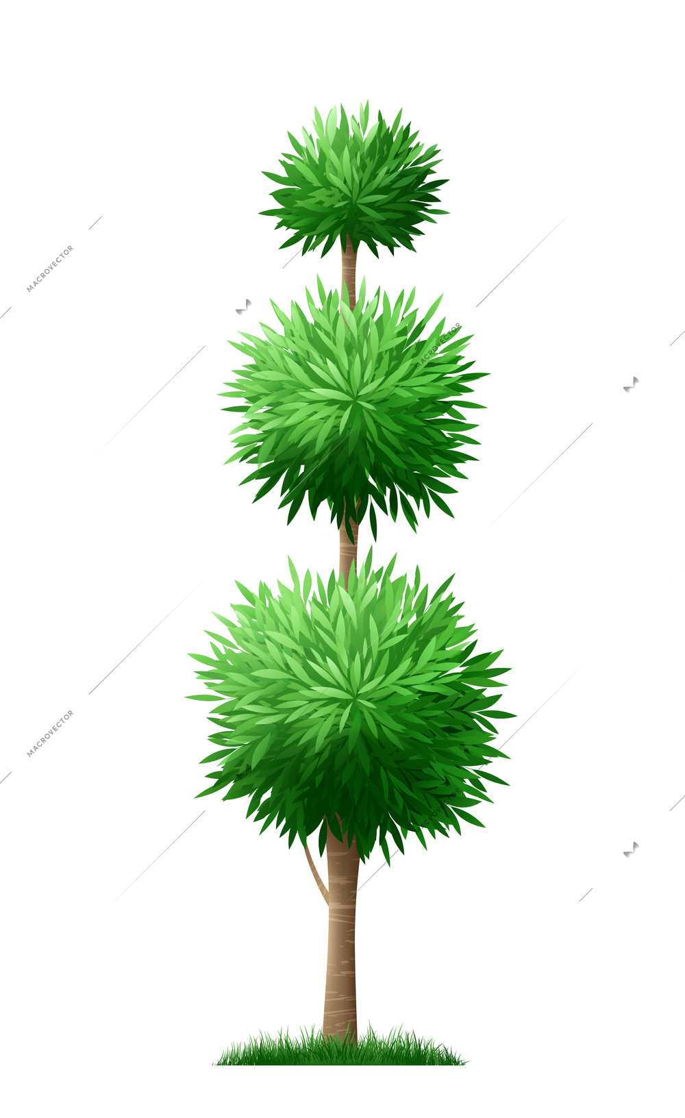 Realistic shaped garden bush with sharp green leaves vector illustration