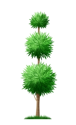 Realistic shaped garden bush with sharp green leaves vector illustration