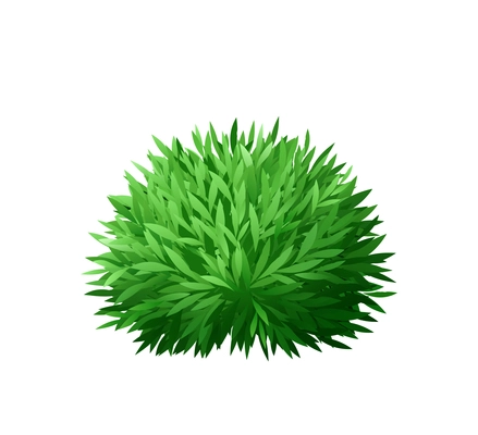 Realistic green sharp leaved bush of round shape vector illustration