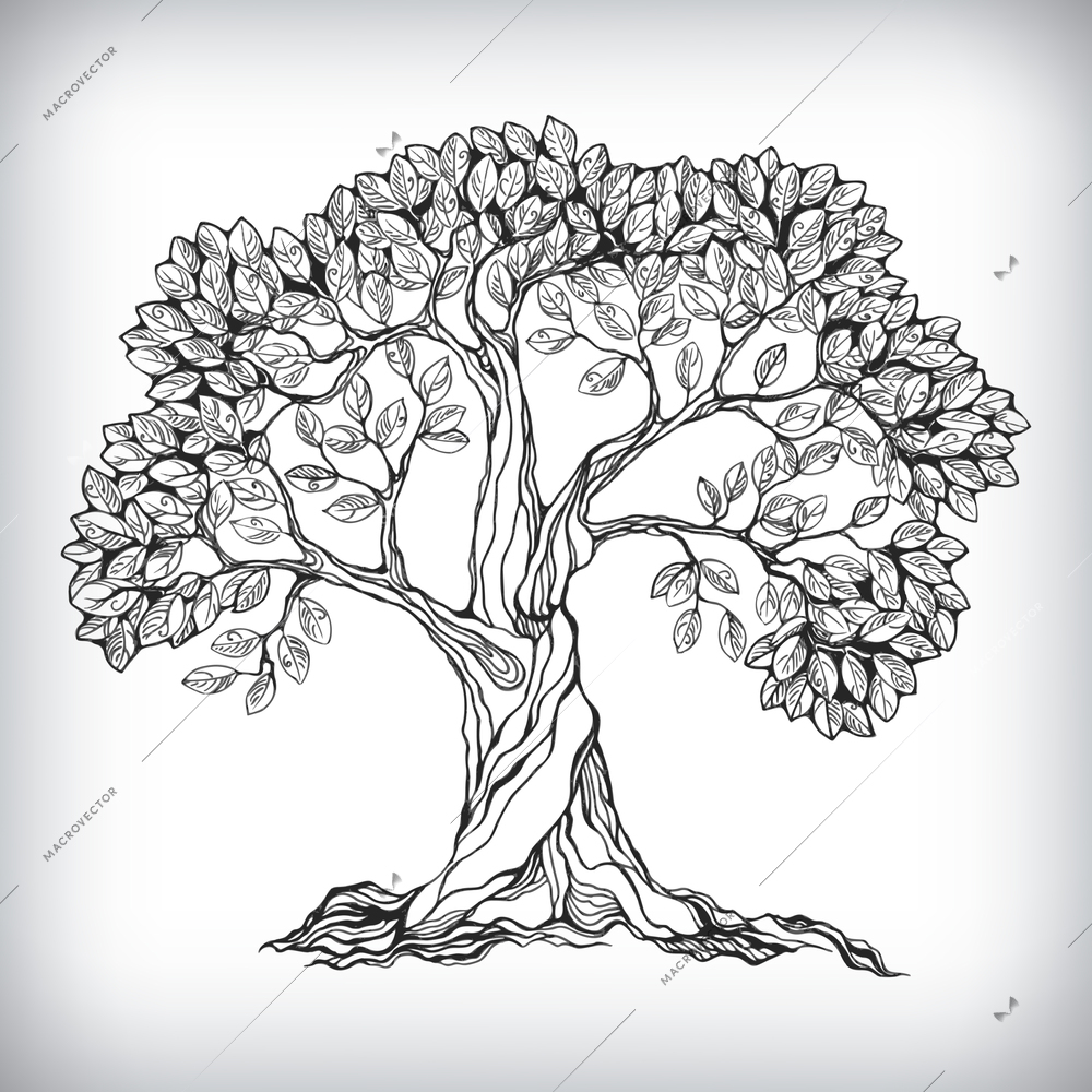 Hand drawn tree symbol isolated vector illustration