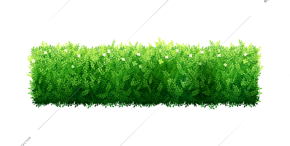 Realistic green garden bush fence on white background vector illustration