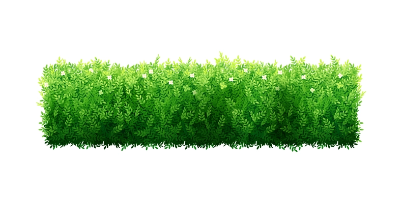 Realistic green garden bush fence on white background vector illustration