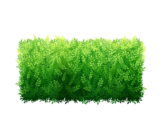 Realistic garden bush with green leaves icon on white background vector illustration