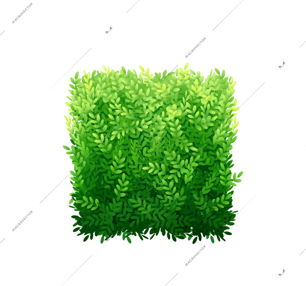 Square green garden bush realistic icon vector illustration