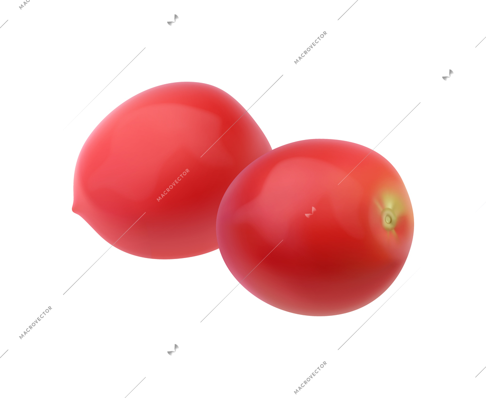Two realistic ripe red tomatoes on white background vector illustration