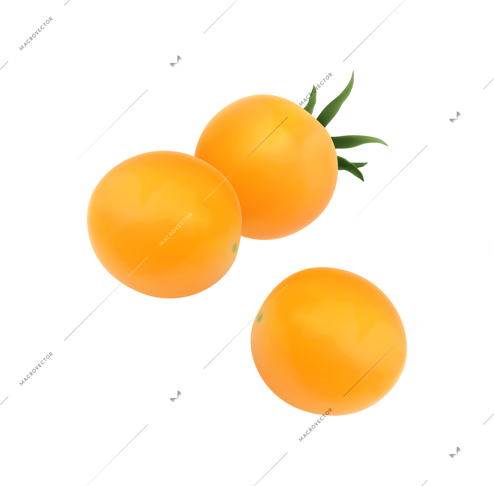 Three ripe yellow tomatoes isolated on white background realistic vector illustration