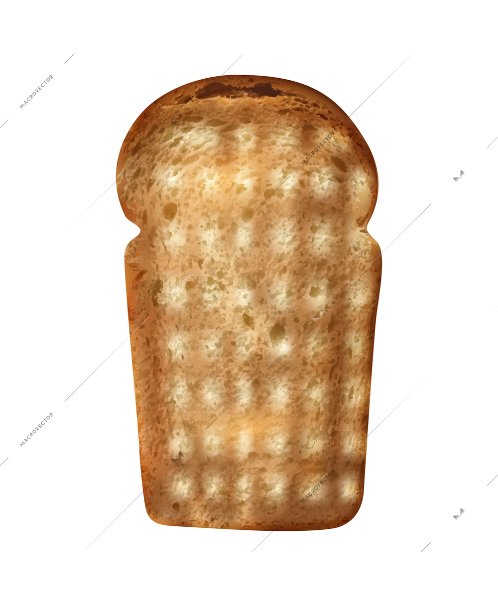 Crunchy slice of toasted wheat bread realistic vector illustration