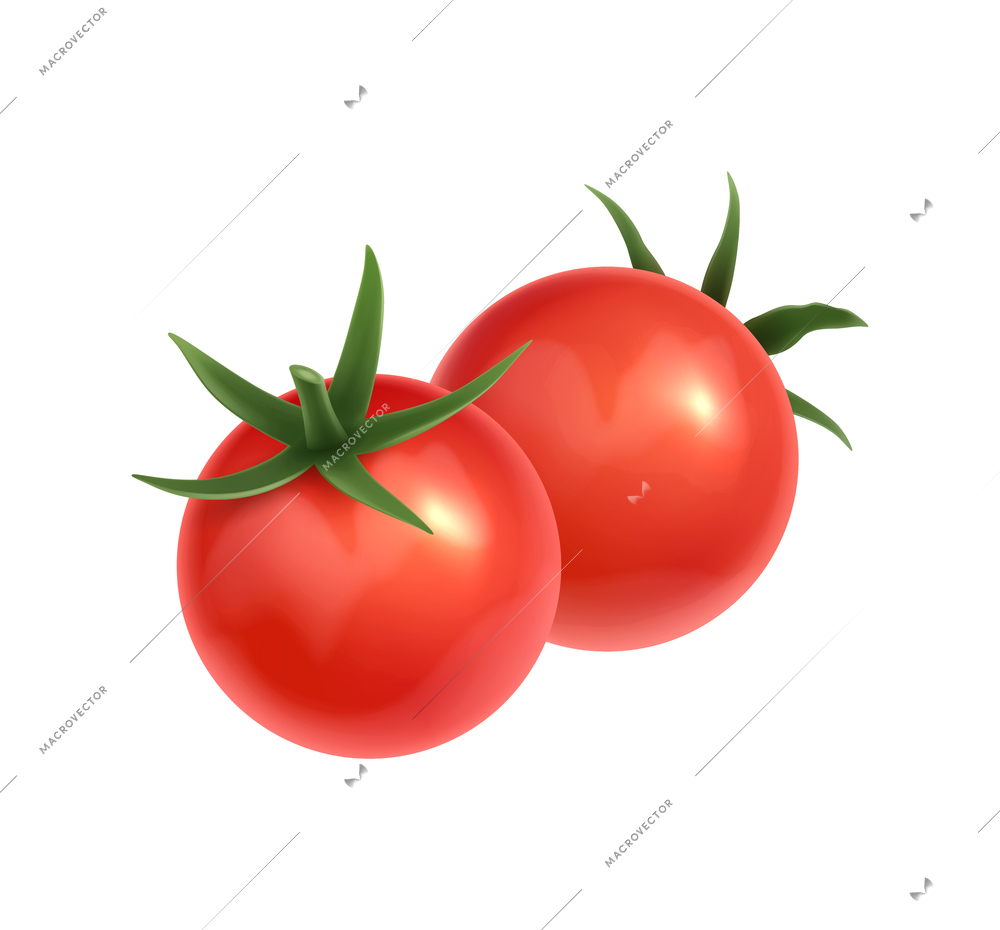 Fresh red tomatoes on white background realistic vector illustration