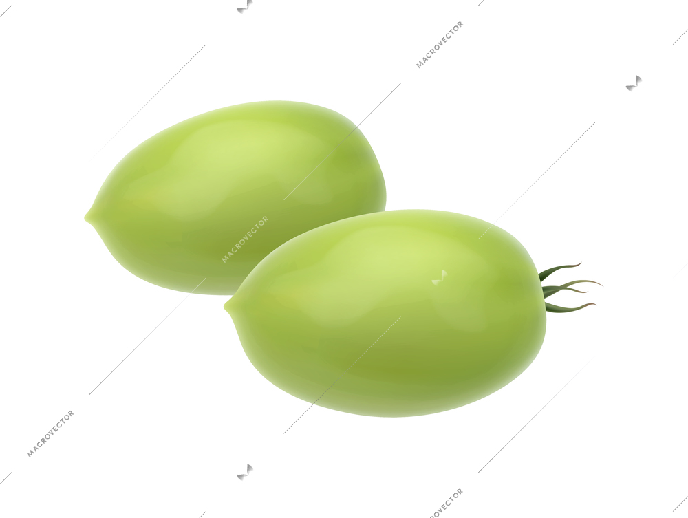 Two realistic green plum tomatoes icon on white background vector illustration