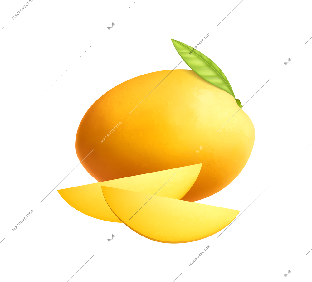 Realistic whole mango with leaf and two slices on white background vector illustration