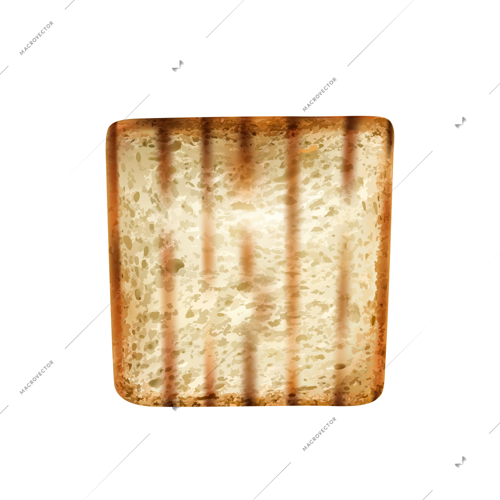 Grilled wheat bread slice on white background realistic vector illustration