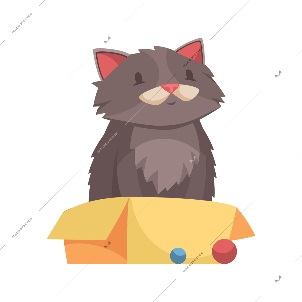 Cartoon cute adult cat sitting in yellow box vector illustration