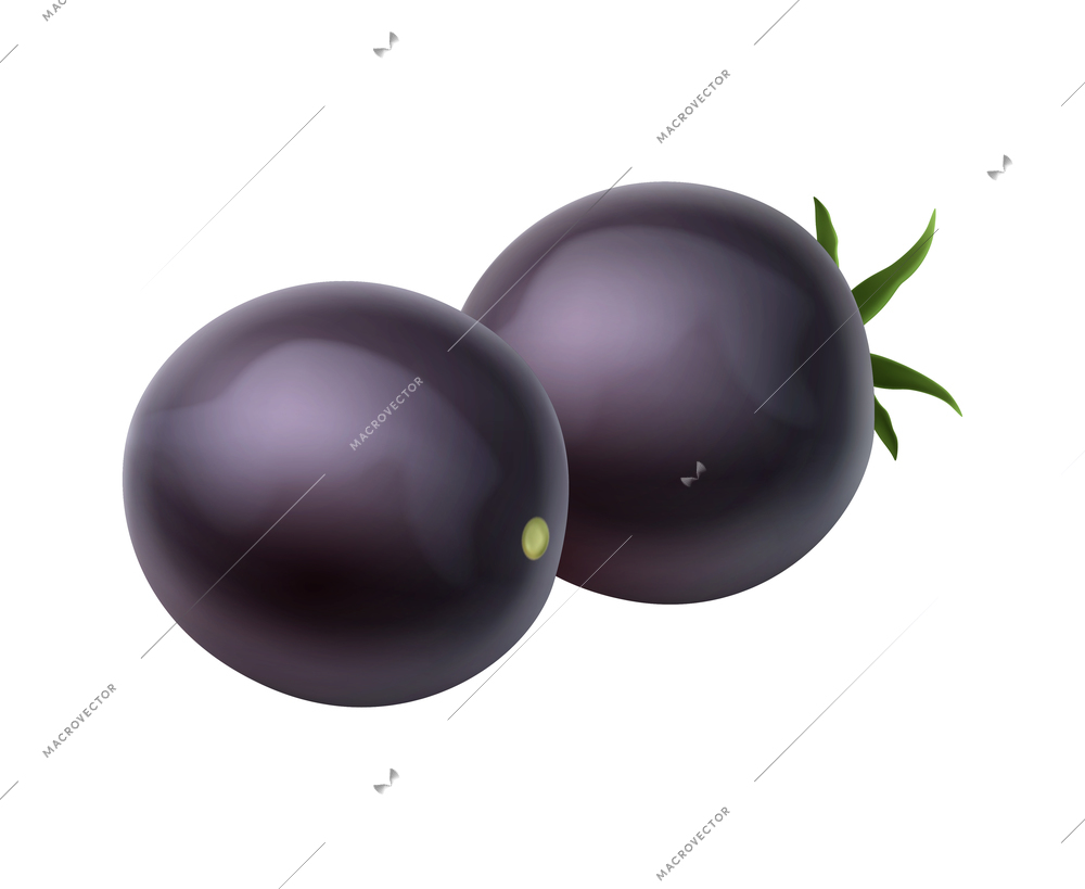 Two realistic black tomatoes with and without leaves vector illustration