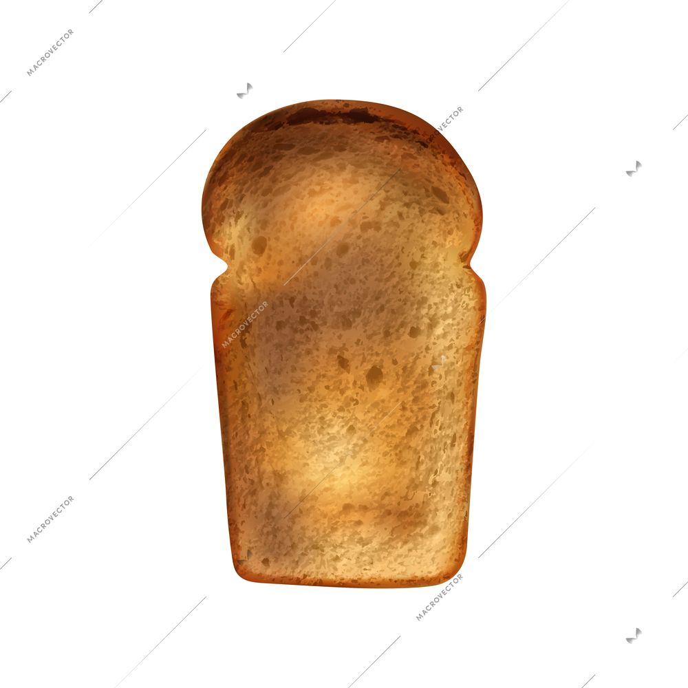 Realistic toasted slice of panned loaf bread vector illustration