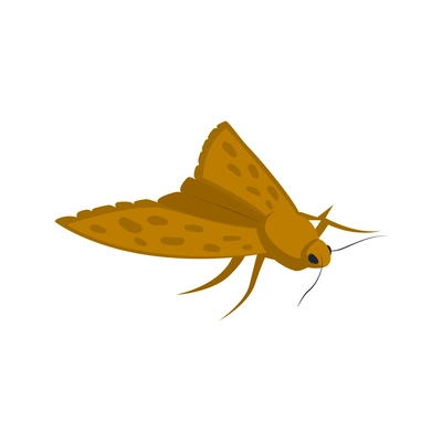 Isometric icon of clothes moth on white background vector illustration