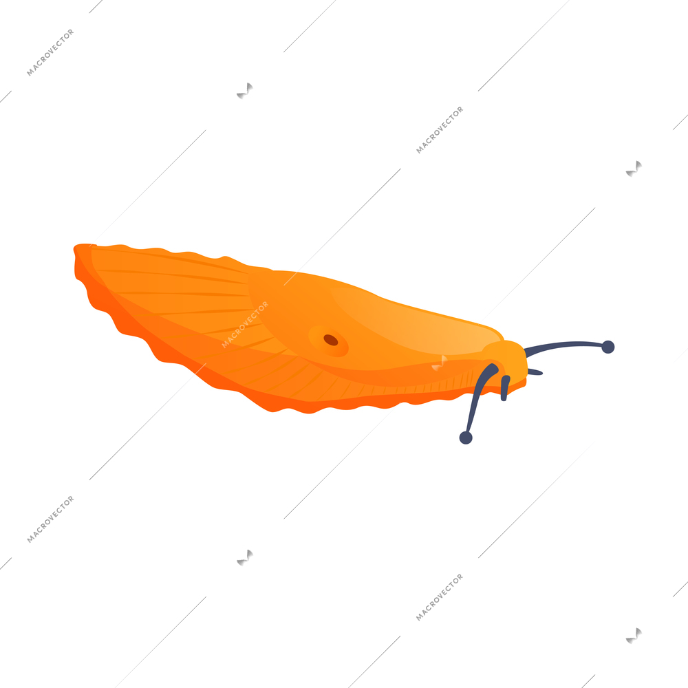 Isometric icon of orange slug on white background vector illustration