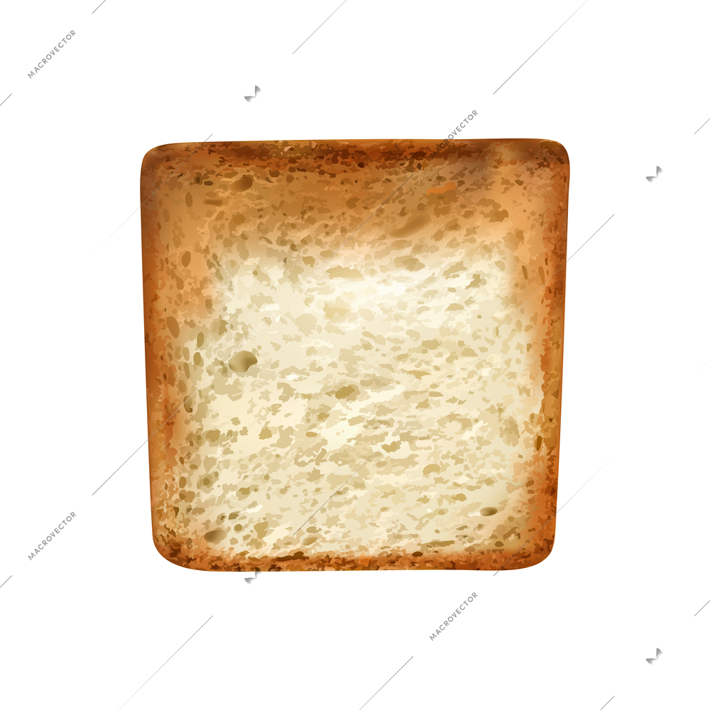 Toasted slice of wheat bread on white background realistic vector illustration