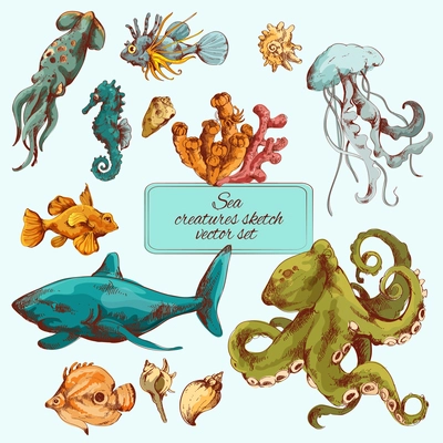 Sea fishes and ocean creatures sketch colored decorative icons set isolated vector illustration