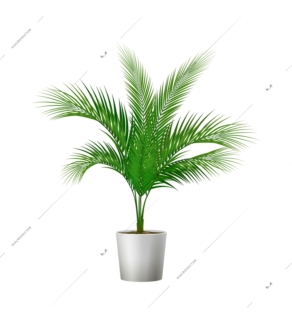 Green potted plant for room interior realistic vector illustration