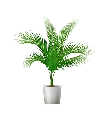 Green potted plant for room interior realistic vector illustration