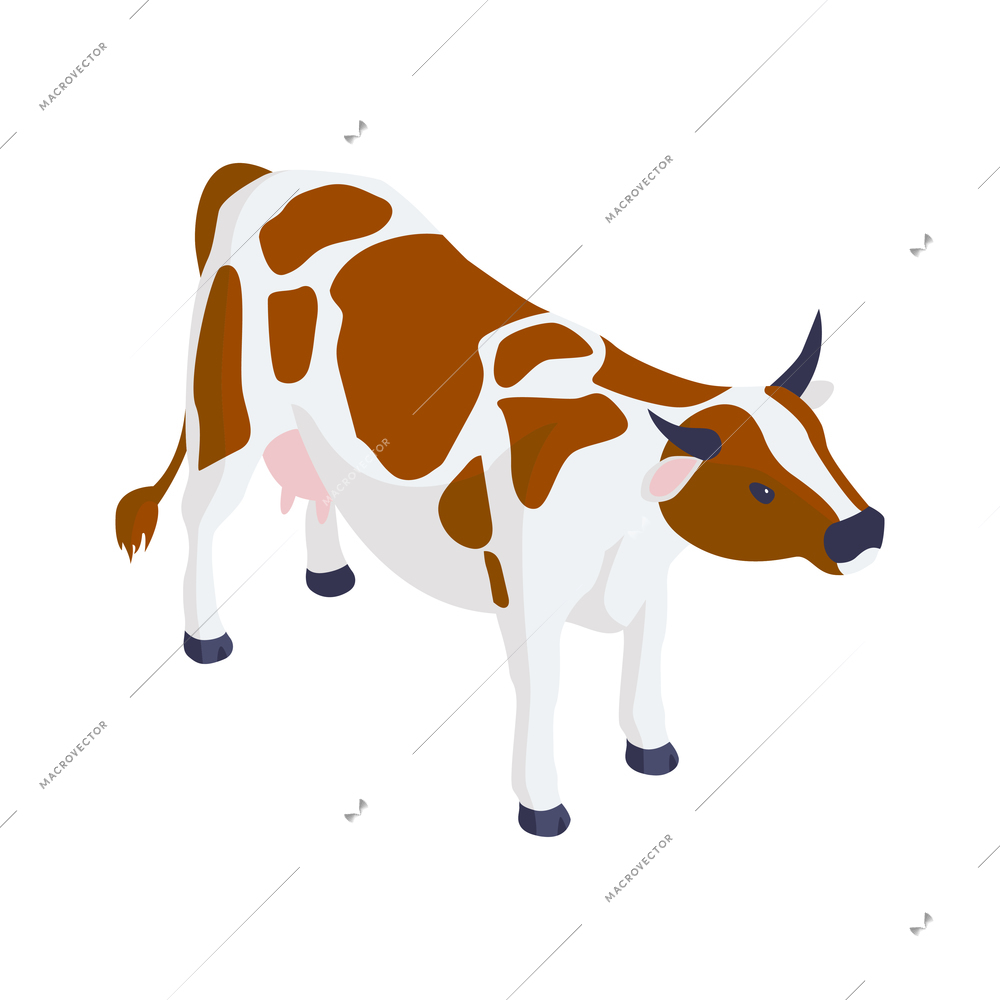 Isometric white and brown cow 3d vector illustration