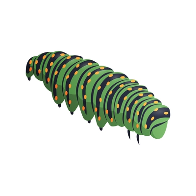 Green caterpillar on white background 3d isometric vector illustration