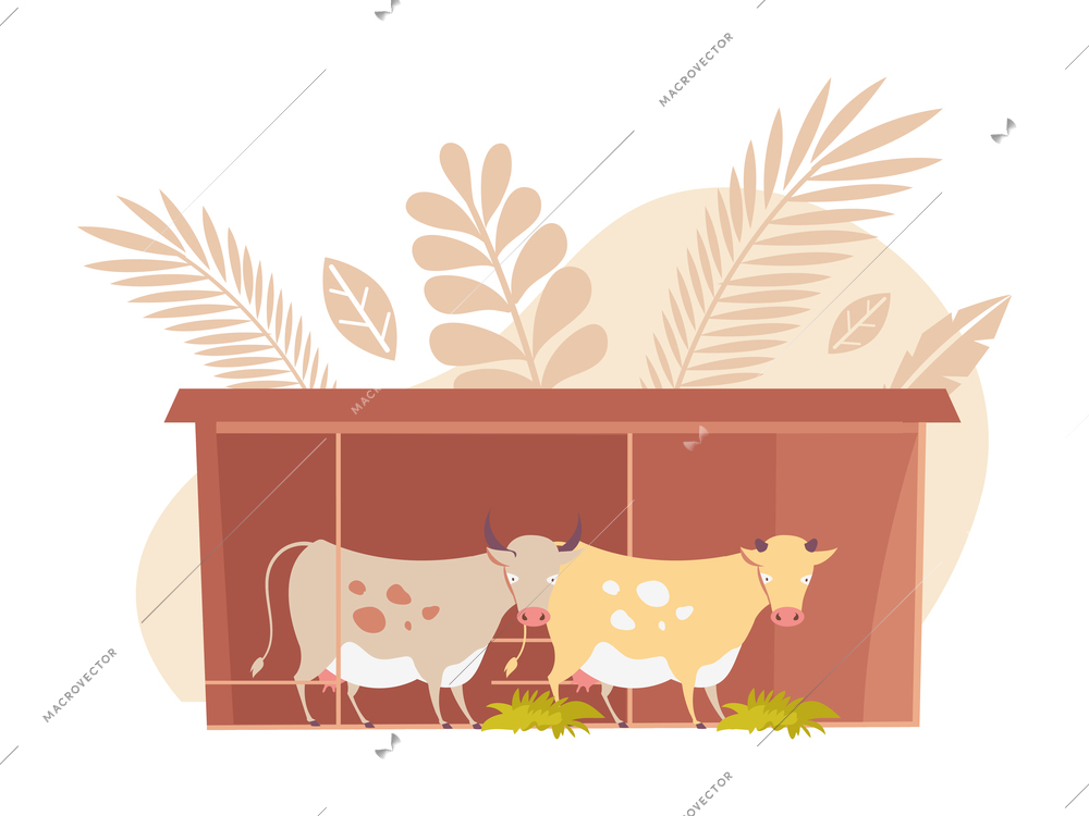 Flat icon with two milk cows on farm on background with wheat ears vector illustration