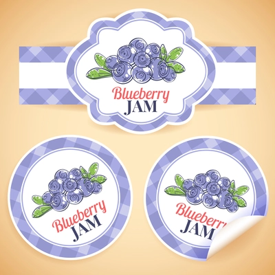 Sweet and healthy homemade blueberry jam marmalade paper label set isolated vector illustration