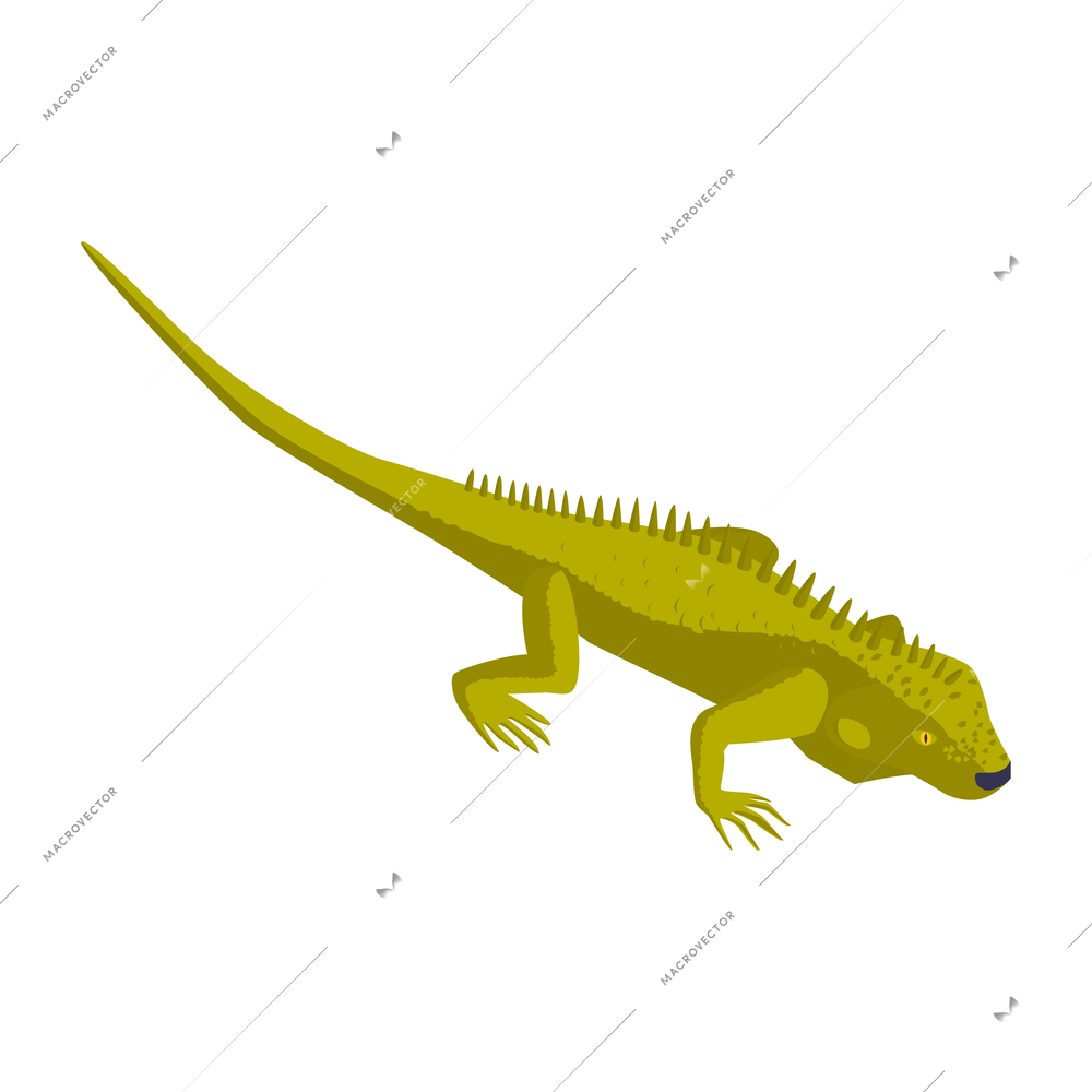 Green lizard on white background isometric icon 3d vector illustration